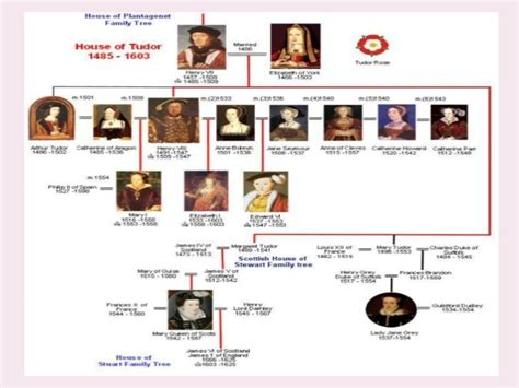 dinastias tudor|house of tudor timeline.